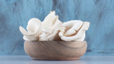 Bowl of delicious organic oyster mushrooms on colorful background,. High quality photo